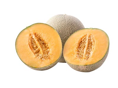Cantaloup