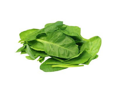 Épinard Épinard