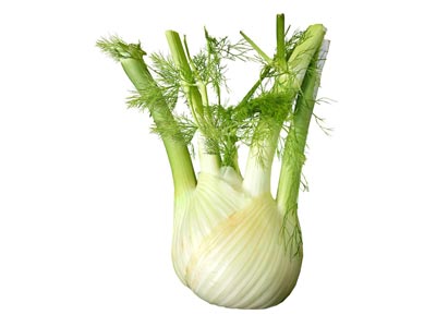 Fenouil Fenouil