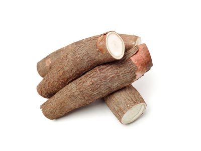 Manioc Manioc
