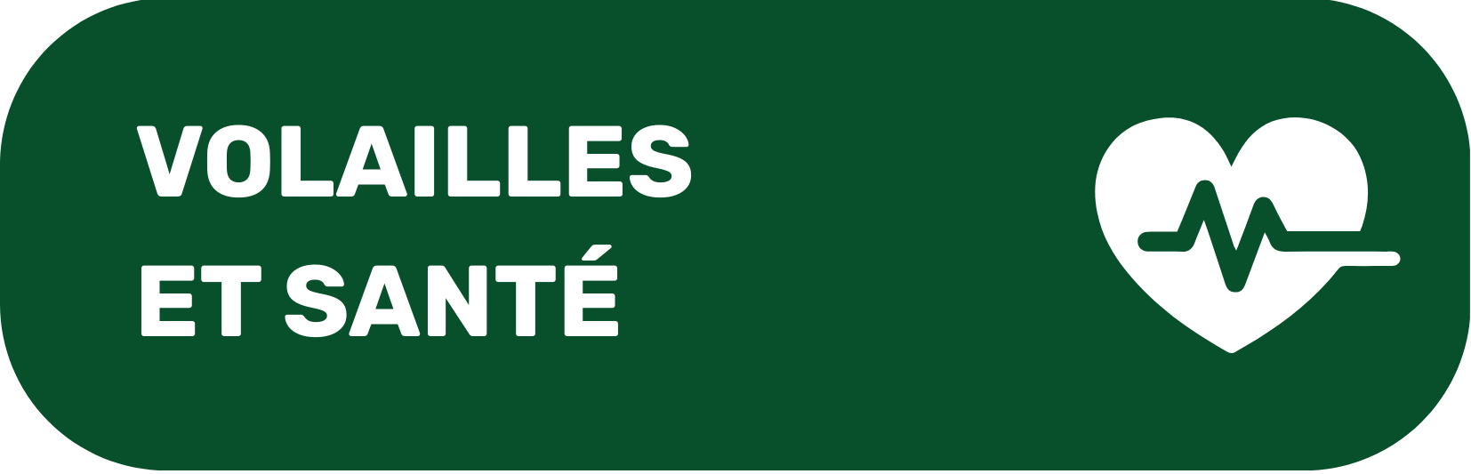 Bouton pour découvrir la section Fruits et santé