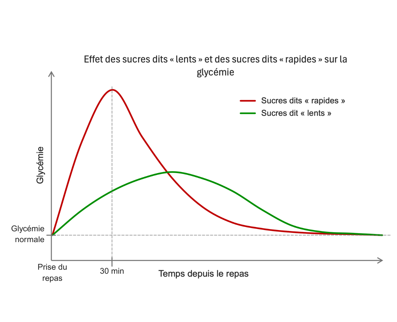 Graphique Impact des glucides rapides ou lents sur la glycémie