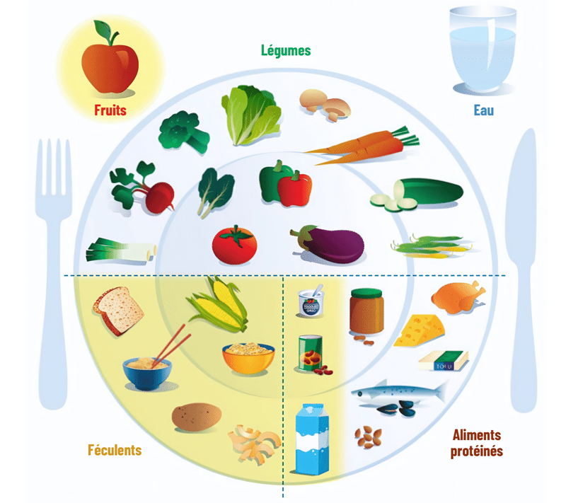 Graphique Assiette équilibrée pour la personne vivant avec le diabète
